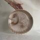 Set of 6 fish plates in ceramic – Sarreguemines
