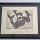 Illustrated plate, Studies of Black Fallow Deer, Signed André Margat, 1930-1950