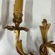 Pair of Louis XV wall lamps in gilded bronze