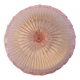 Large size iitalian pink and murano glass ceiling flower