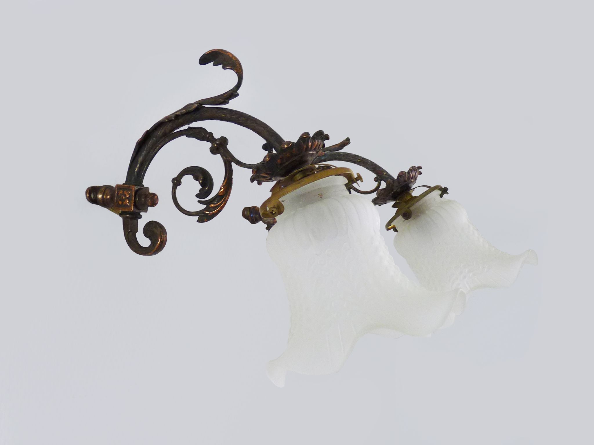 Pair of brass swan collar wall sconces, glass tulips, years 50