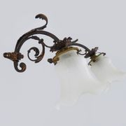 Pair of brass swan collar wall sconces, glass tulips, years 50