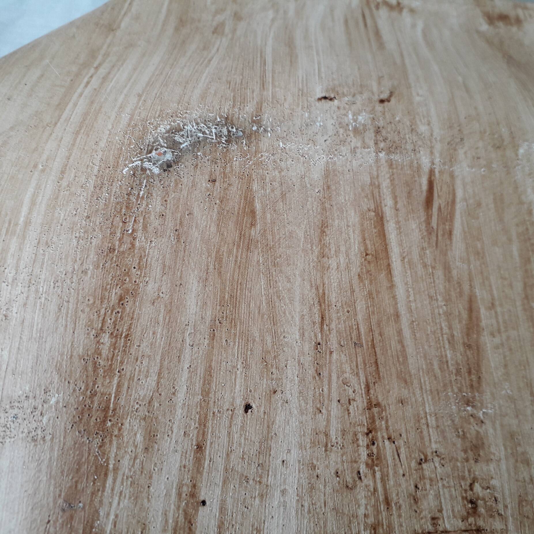 Herbarium cut dish