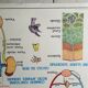 Poster school  excretion & hygiene first aid