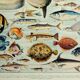 Antique engraving 1928, Fish, ocean, marine animals, fauna • Lithograph, original illustration
