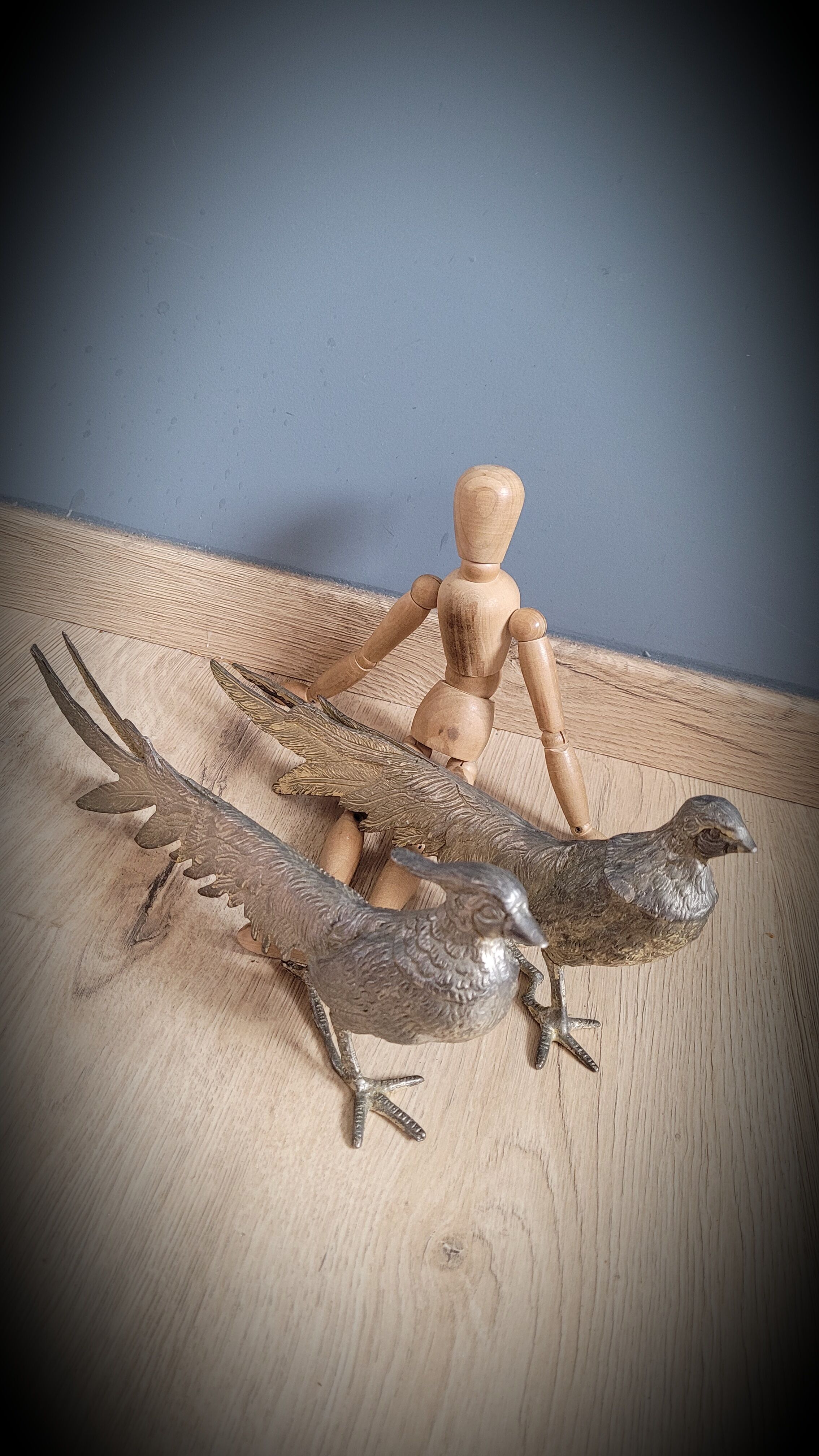 DuO of peacocks