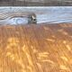 Rattan & oak vintage wall shelf 60's Louis Sognot