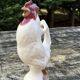 Rooster pitcher in cracked ceramic Art Deco style