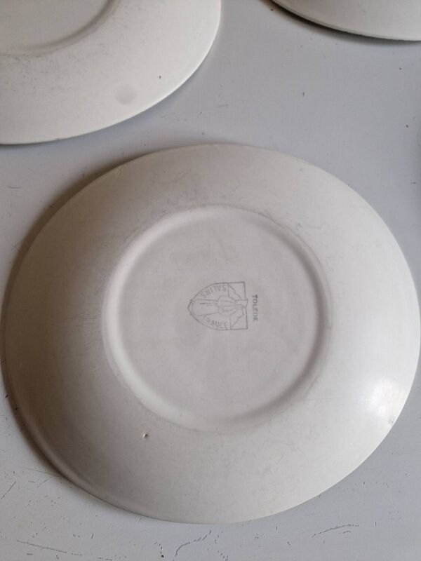 Lot De 12 Assiettes Plates De Forme Ovale Salins Modèle Tolede