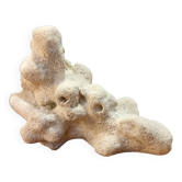 White coral 70s