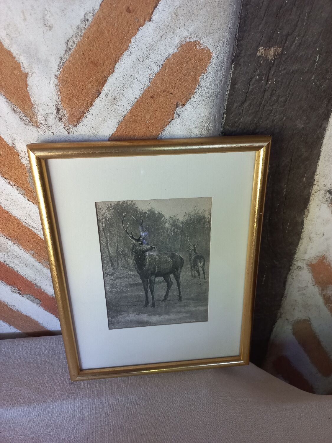 Antique engraving framed two deer in the forest