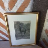 Antique engraving framed two deer in the forest