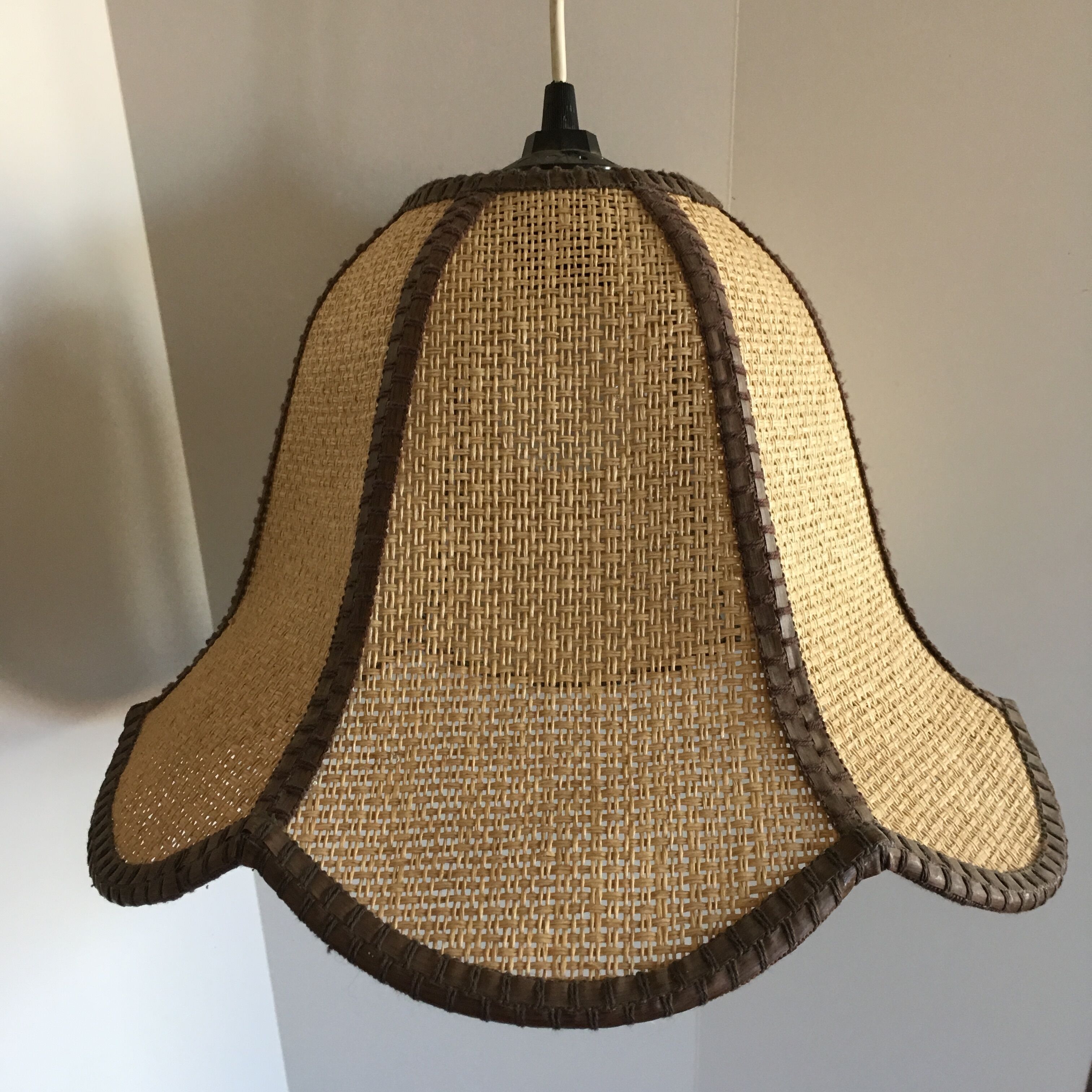 Hanging in wicker and rope-shaped petals