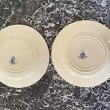 Flat plates Gien thistles