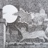 "chaparder" ink from China