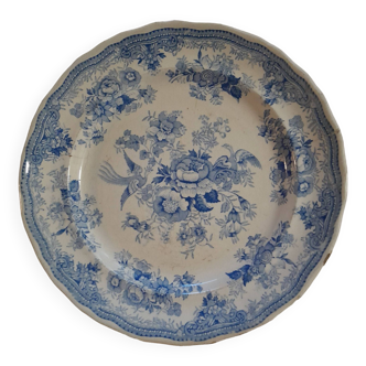 Old blue flower birds plate