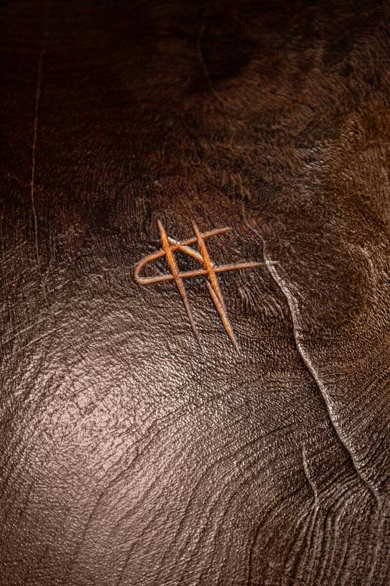 Cristiano Nicoletta, abstract sculpture, 1960s, wood