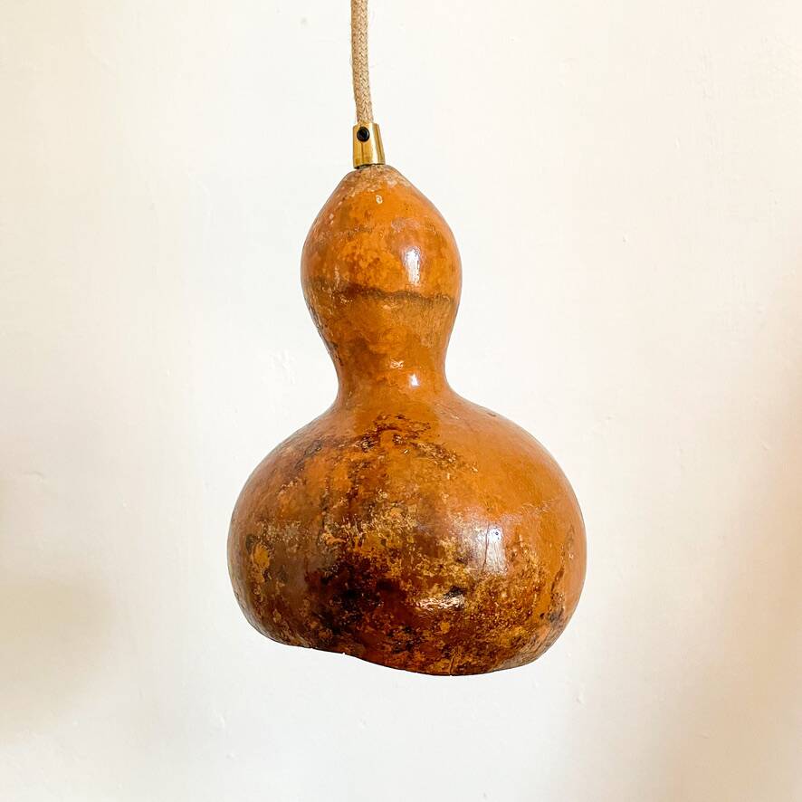Calabash plant lamp