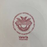 10 Villeroy and Boch flat plates