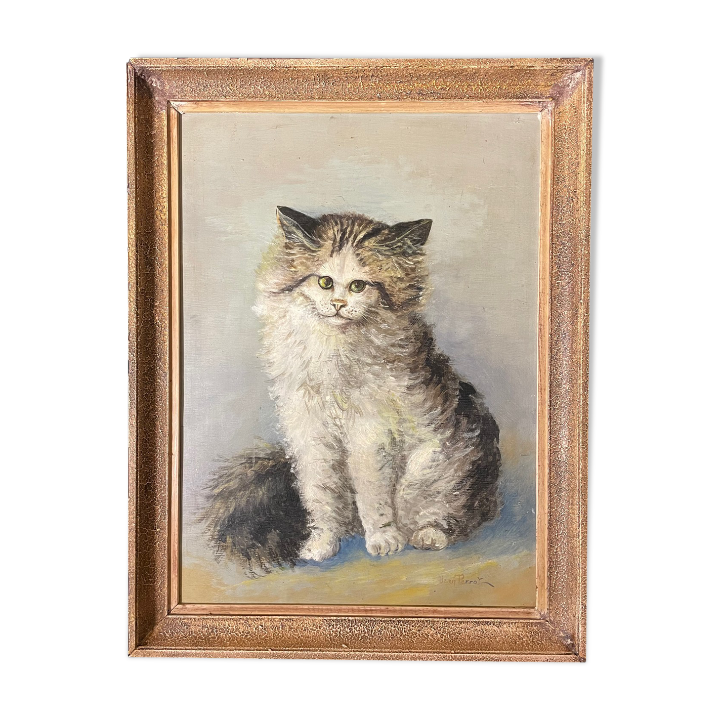 Cat portrait