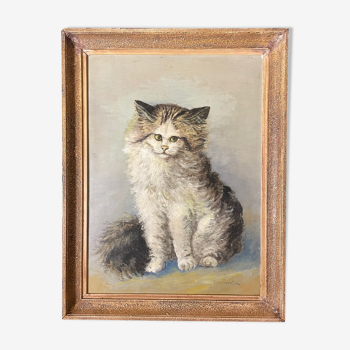 Cat portrait