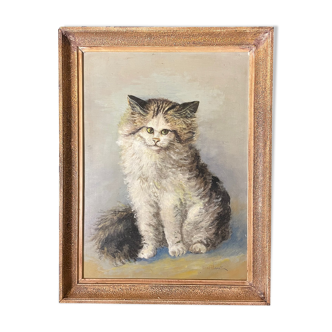 Cat portrait