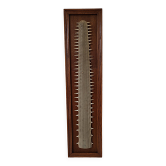 Sawfish rostrum