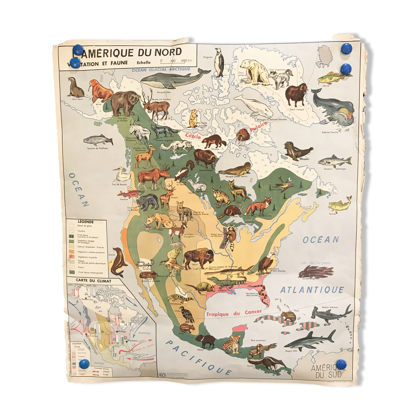 Carte Scolaire Végétation Et Faune Amérique Du Nord Et Asie Mdi 1960 |  Selency