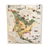 Card school Vegetation and fauna of North America and Asia MDI 1960