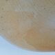 Stoneware plates