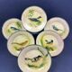 Dessert service signed Costa Diaz, 6 plates, Catalan earthenware 1950.