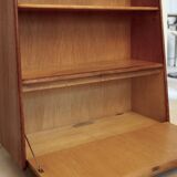 Library BE03 by Cees Braakman for Pastoe