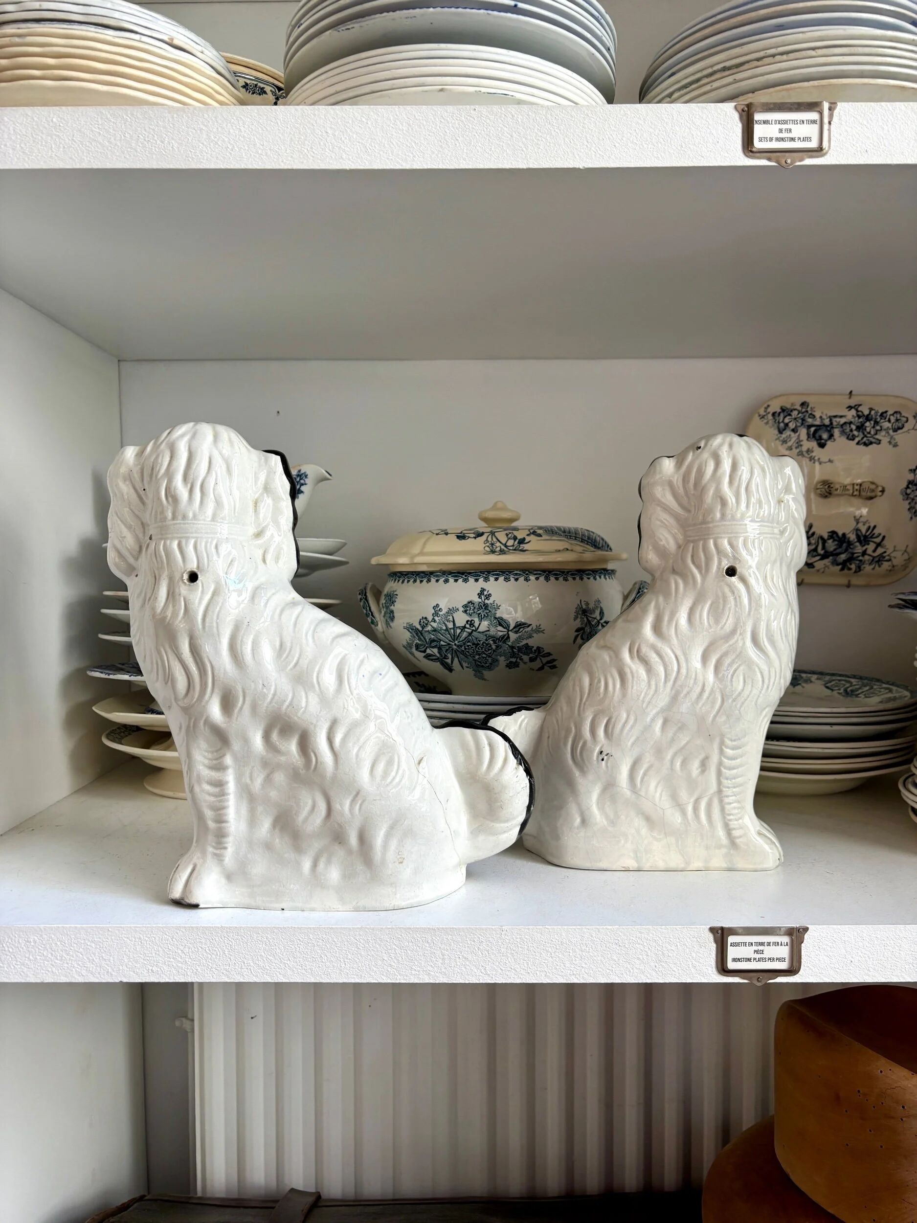 Pair of black Cavalier King Charles dogs in Staffordshire pottery, 19th century.