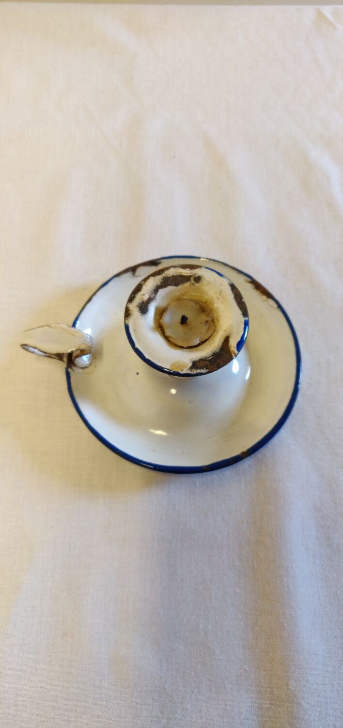 Cellar rat in old enamelled sheet metal