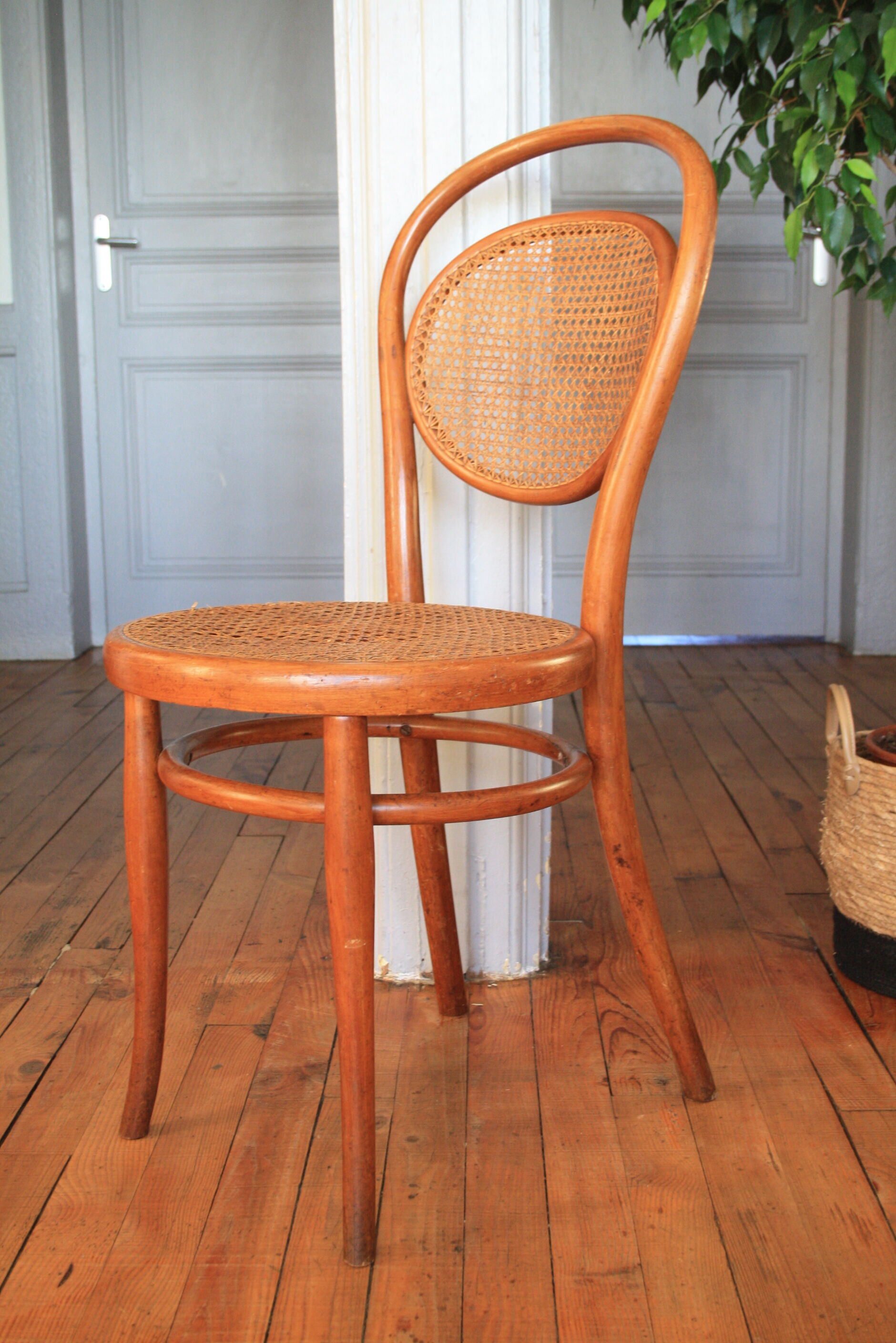 Chaise Thonet N°15 cannée