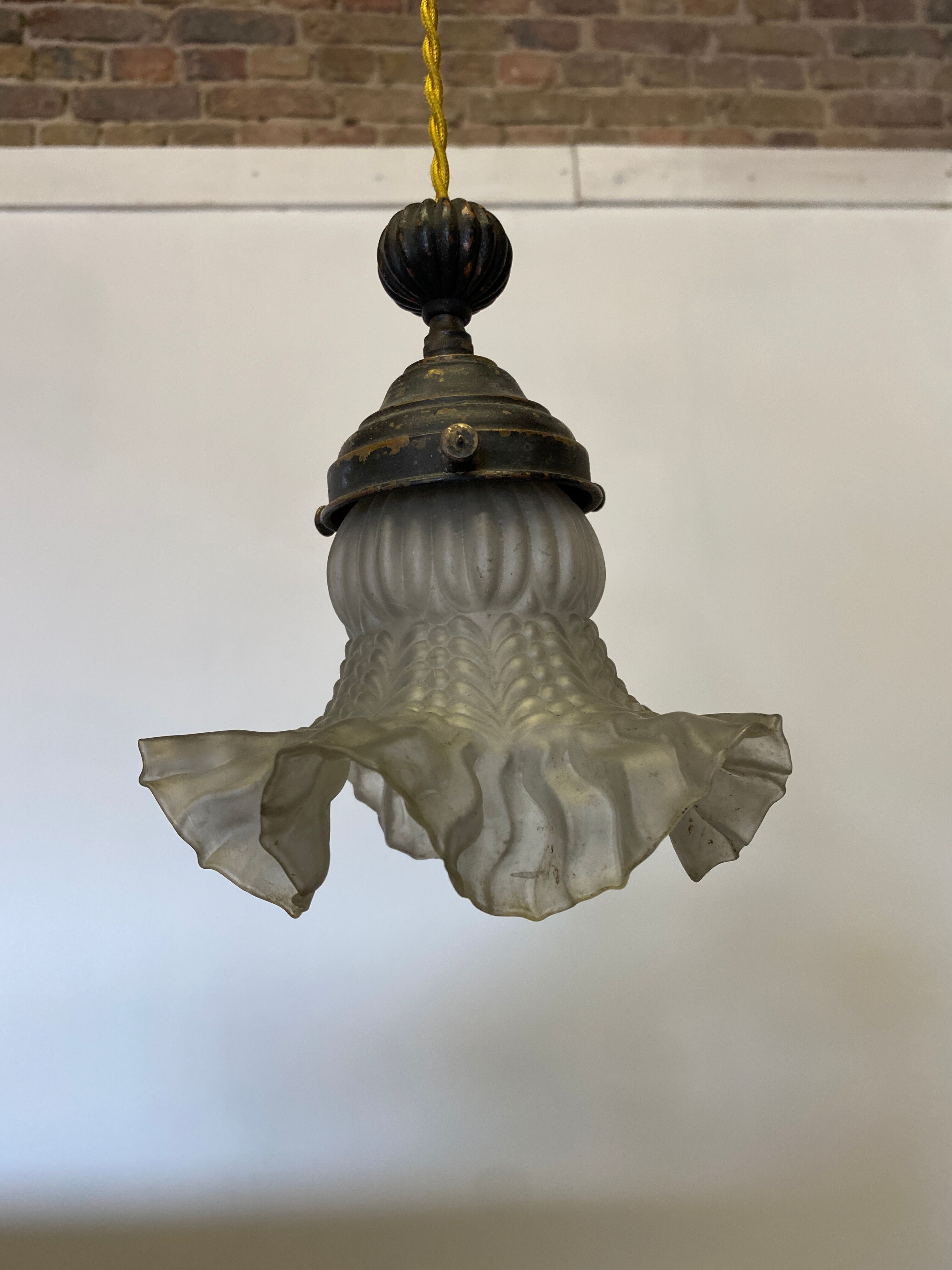 Flower suspension 1900