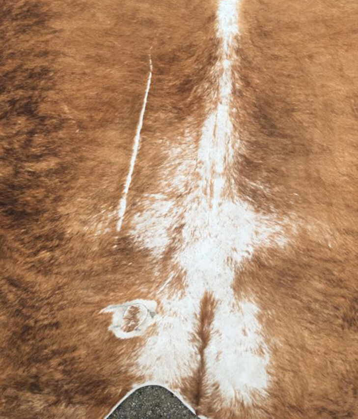 Big Cow Skin Carpet 2mx2m