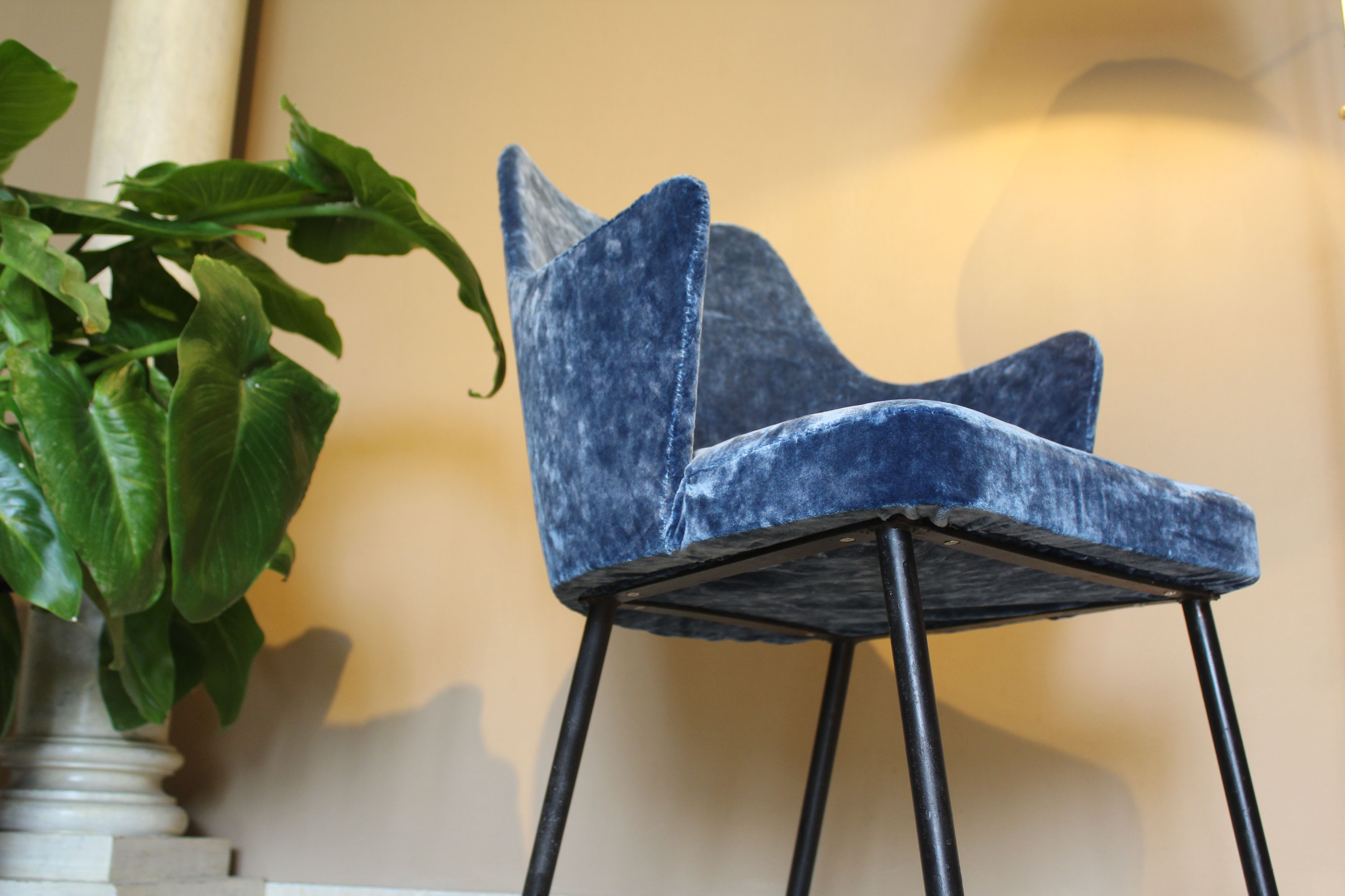 Armchair in blue velvet, Italy 1950s