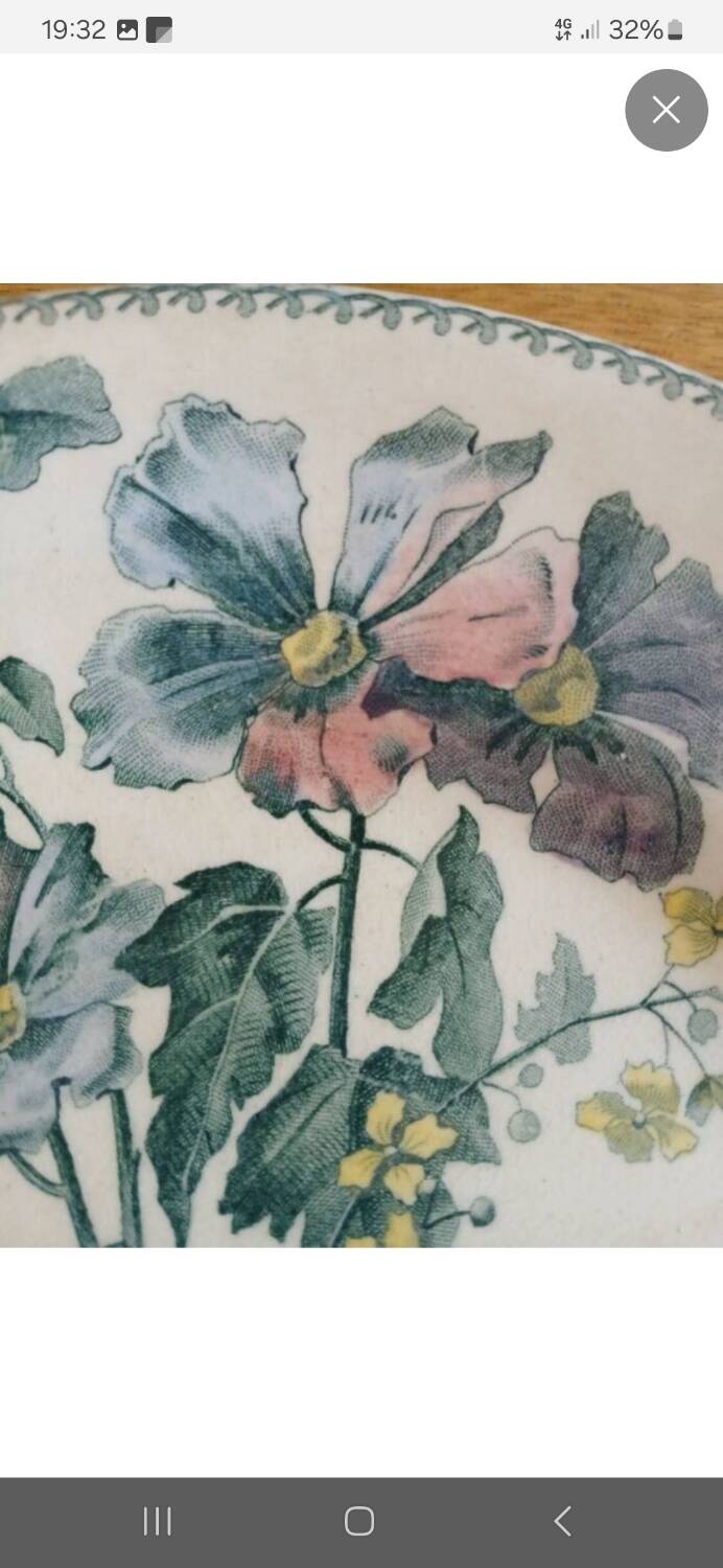 7 old flat plates Terre de fer