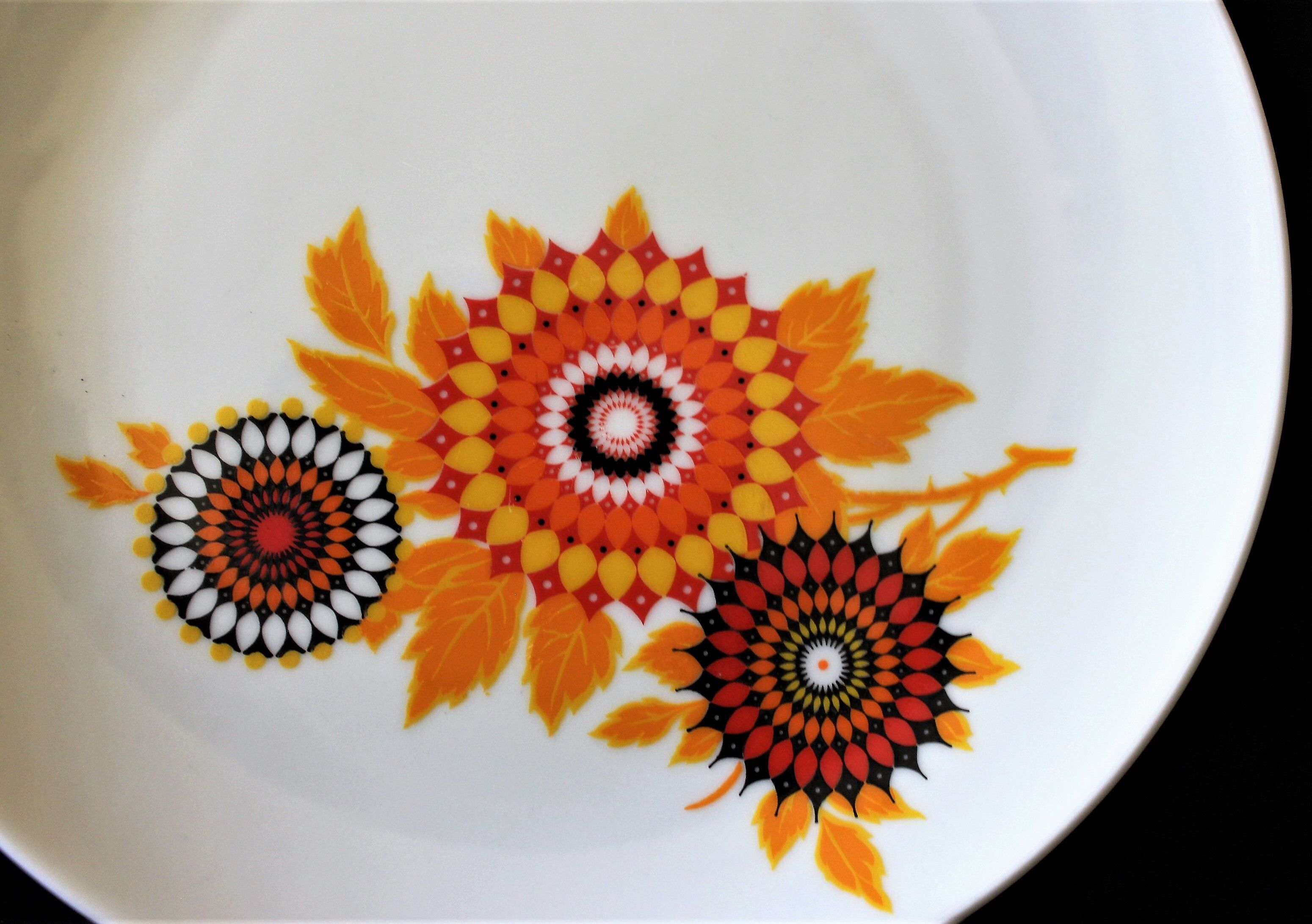 6 70's dessert plates in Winterling Bavaria porcelain