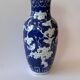 Chinese blue and white porcelain vase Chinese Spring