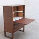 Cabinet bar 'Team Program 500' N-Line en wengé, 1966