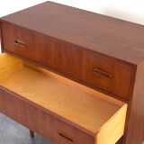 Mid-Century Danish Teak Chest of Drawers, 1960s.