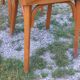 Set of 4 Baumann bistro chairs from the 1950s.