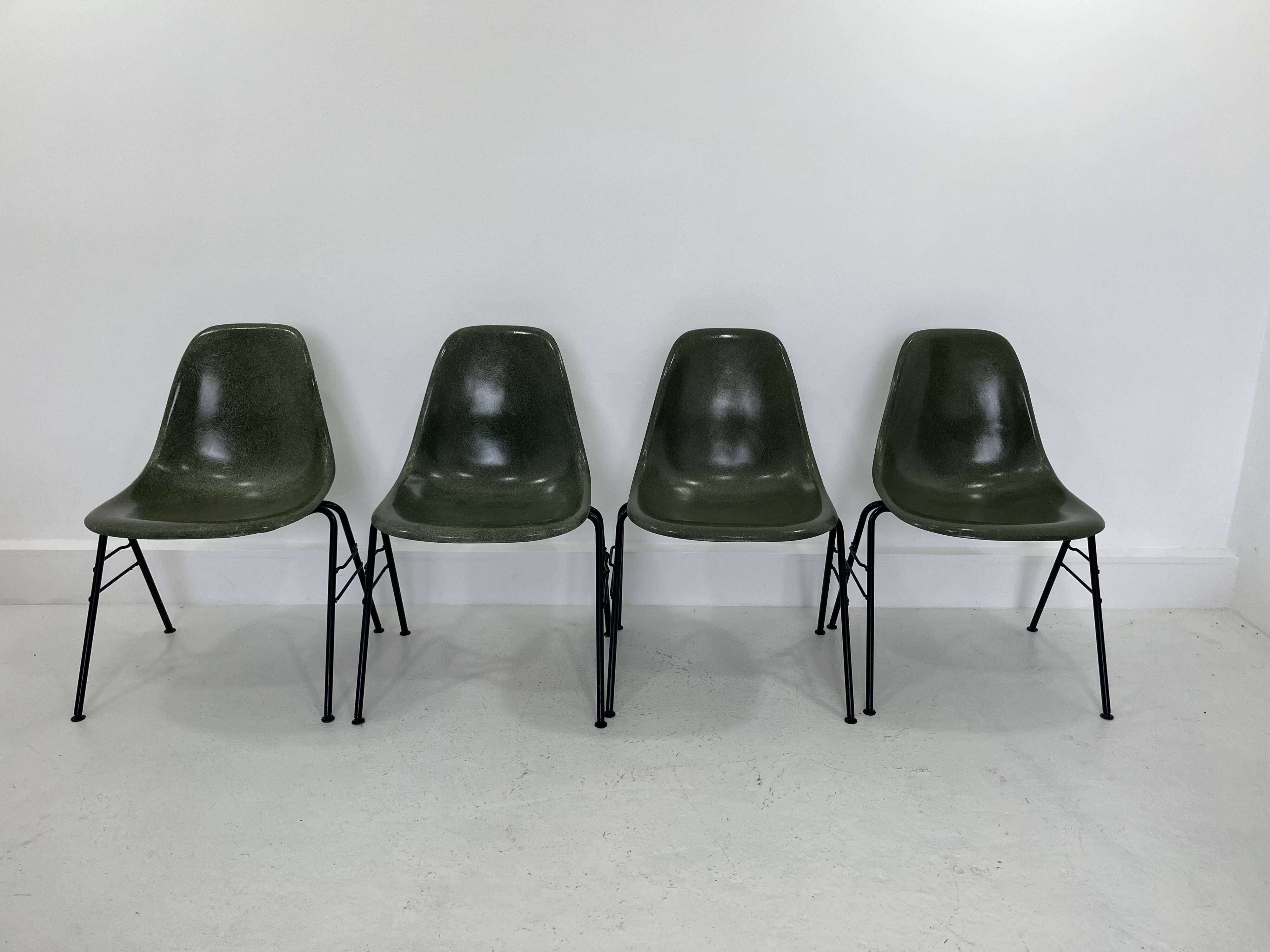 Fiberglass DSS Stacking Chairs by Ray & Charles Eames for Herman Miller, 19