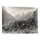 Bernard Darot silver gelatin photograph, 20th century, mountain flowers
