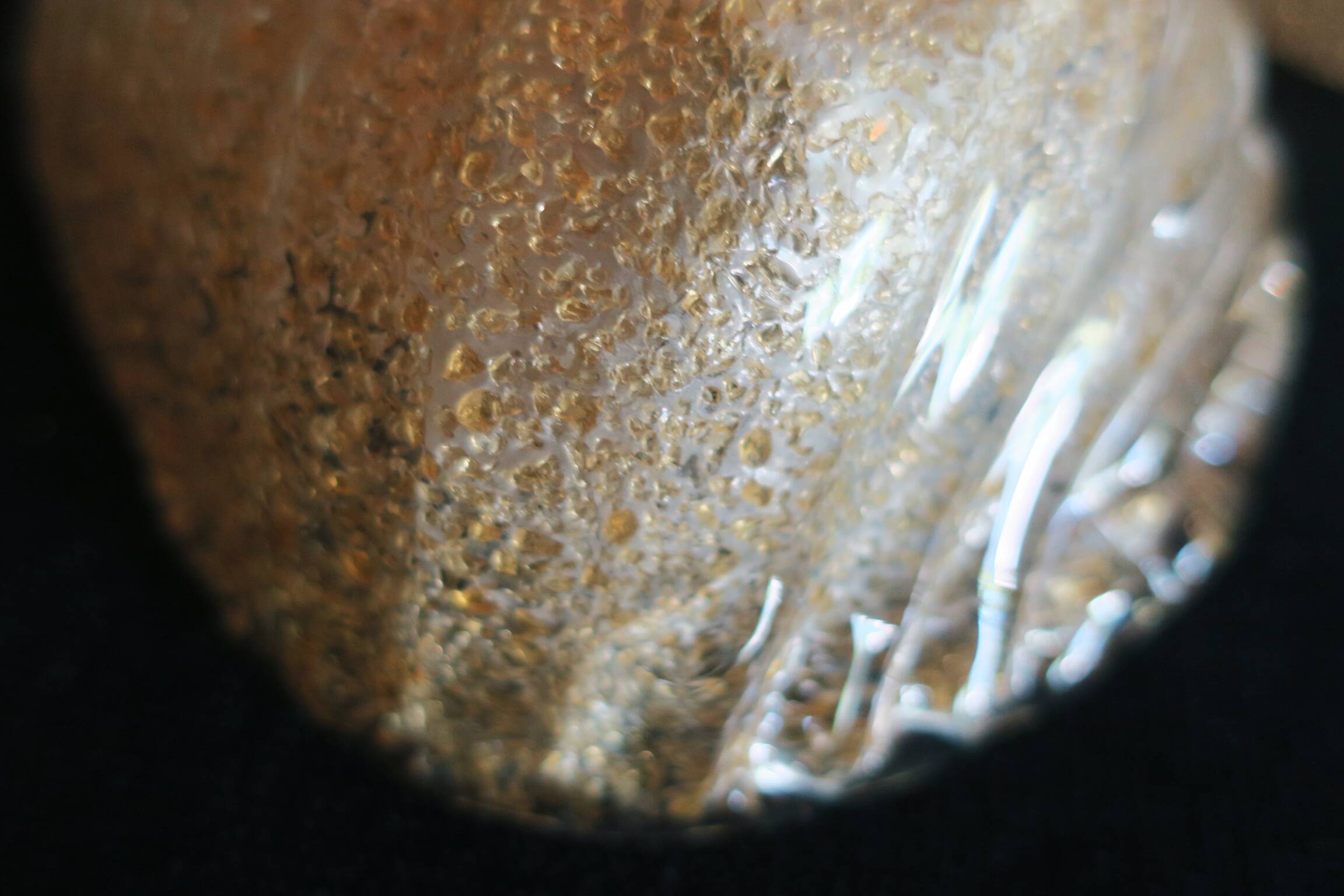 Mid century Murano gold flecked conch wall light, Italy 1960s