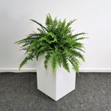 Plexiglas floor lamp & planter