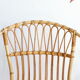 Adult-sized rattan shell chair