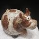Cracked sandstone cow